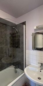 Location Appartement 1 pièce 24m² LAVAL 53000 - Photo 3
