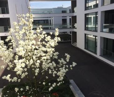 4.5 Zimmer, 1. Stock - Photo 2