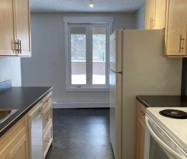 Lockwood Place — 1 Bedroom - Photo 4