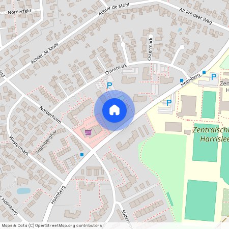 Holmberg 29b, 24955, Harrislee