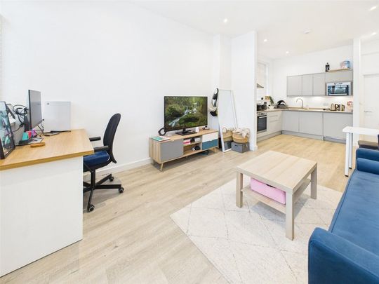 1 bedroom apartment to rent - Photo 1