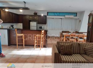 Διαμέρισμα για ενοικίαση - Δροσιά - Photo 2