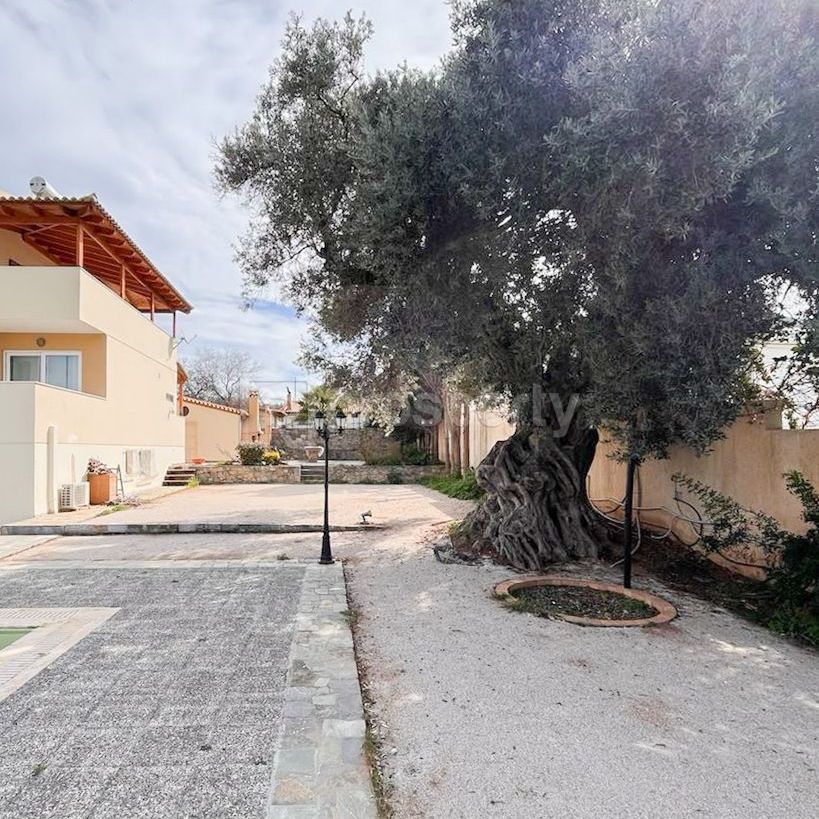 Μεζονέτα για ενοικίαση Κέντρο (Καλύβια Θορικού) - Photo 1