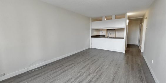 Samuel De Champlain Appartement 3 ½ à Louer Montcalm / Saint-Sacrement Juillet 2026 - Photo 3
