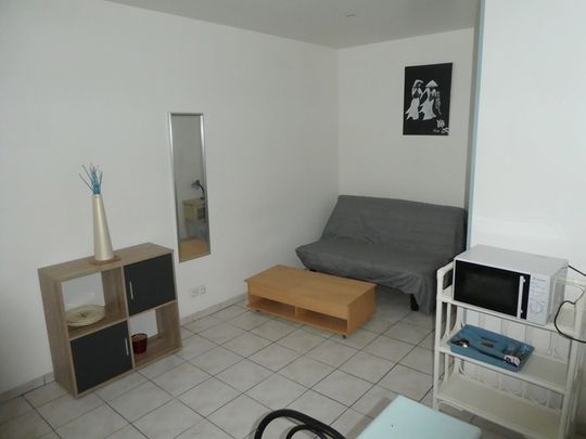 Location appartement à Saint-Pol-de-Léon 19.92m² - Photo 1