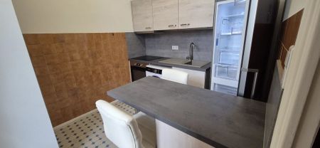 Location Appartement 1 pièce 21m² NICE 06000 - Photo 4