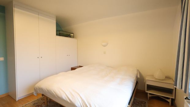 Vrijstaande woning met mooie rustige ligging nabij centrum Beveren - Foto 1