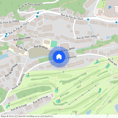 Mélèzes, Crans-Montana