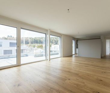 Attraktive 3.5-Attikawohnung in Orpund zu vermieten - Photo 1