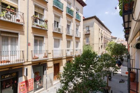 Calle de la Amnistía, Madrid, Community of Madrid 28013 - Photo 4