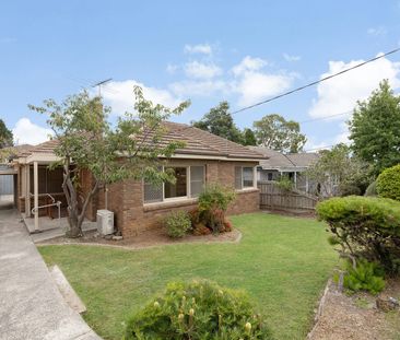 Renovated Family Home Ready to Enjoy! - Photo 6