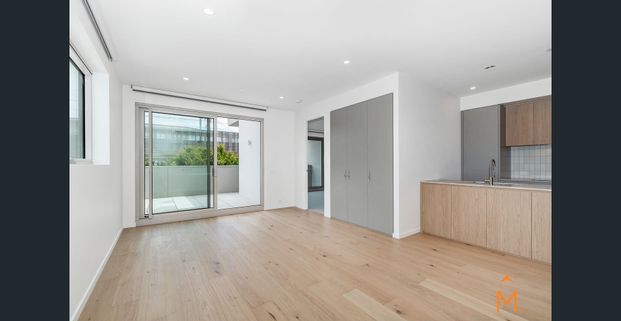 Perfection in Parkdale - Photo 1