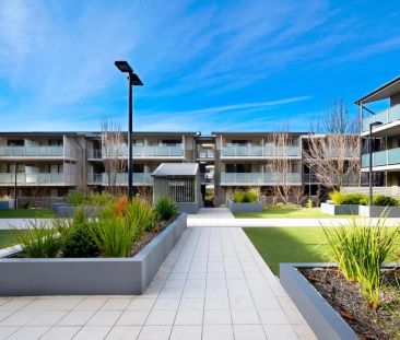 Ground Floor 1-Bedroom Apartment in Prime Belconnen Location - Photo 1