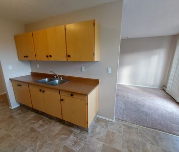 Beautiful 1 Bedroom Available Now! In Suite Laundry! - Photo 6