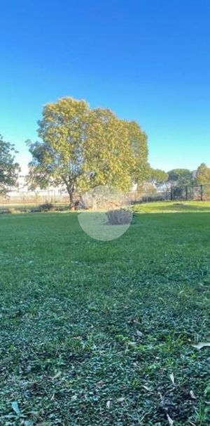 Quadrilocale in affitto - Photo 1