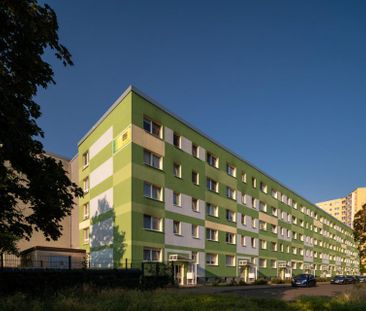 Wir sanieren für Sie - 3 Zimmer-Wohnung in Halle - Photo 5