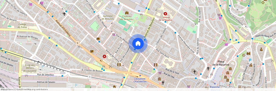 1004, Lausanne, Avenue De Beaulieu, 15