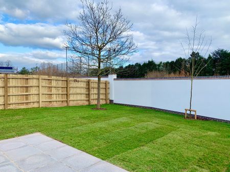 3 bedroom Spacious Three Bedroom Detached House to rent - Photo 2