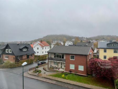 Runebergsgatan, Borås - Foto 3