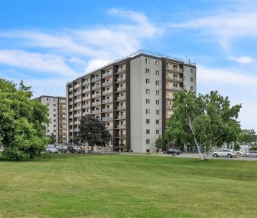 Village on the River Apartments - Photo 3