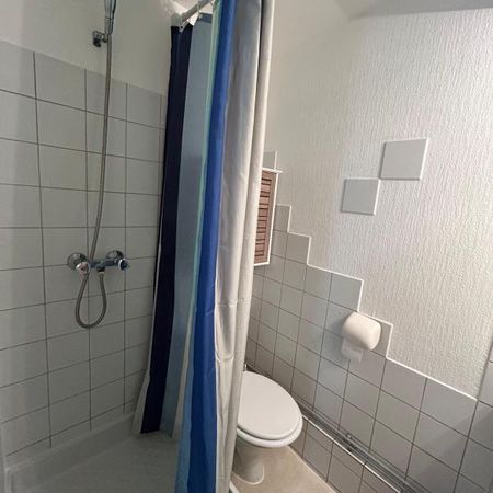 Location Appartement 1 pièce Meublé 15m² AIRE SUR L ADOUR 40800 - Photo 4