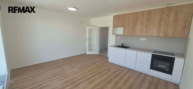 Pronájem bytu 1+kk v osobním vlastnictví 32 m², Brno - Photo 1