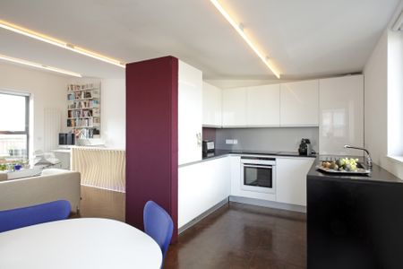 Architect Designed Duplex 2 Bedroom Penthouse to let in in Kings Cross - Photo 4