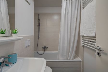 Furnished 2-room apartment with mountain view - Photo 4