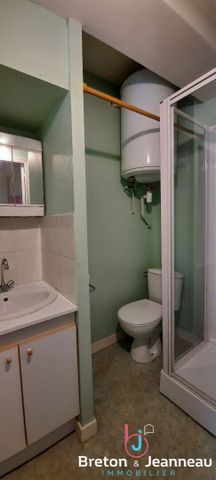 Location Appartement 1 pièce 20m² - Photo 4