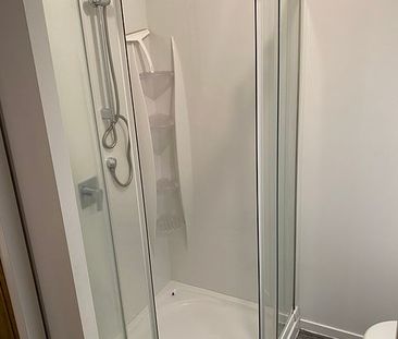 Cozy 1 bedroom flat in central Wellington Suburb - Photo 6