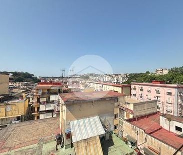 Bilocale in affitto - Photo 3