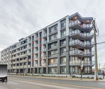 517-20360 Logan Avenue, Langley - Photo 4