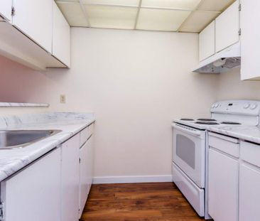 Burnside Apartments - Photo 2