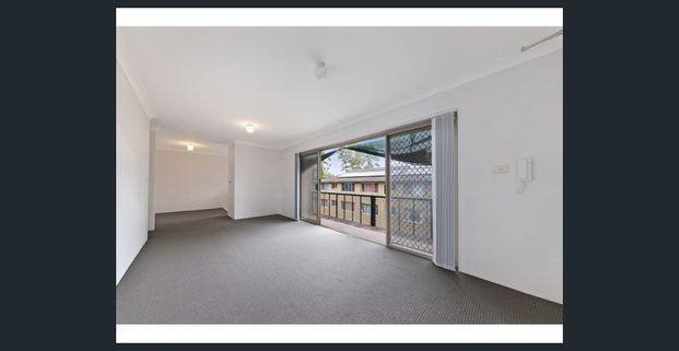 Newly renovated 2 bedroom unit - Photo 1