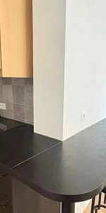 A LOUER - STUDIO MEUBLE 25 m2 - STRASBOURG PETITE FRANCE - Photo 3