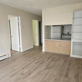 A bright renovated 1 bedroom suite - Photo 3