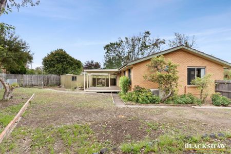 41 Gallagher Street, Kambah ACT 2902 - House For Rent | Domain - Photo 4