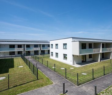 WirtschaftseinheitWIENER NEUSTADT XI/1 - Foto 3