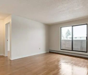 1 Bedroom - Photo 2