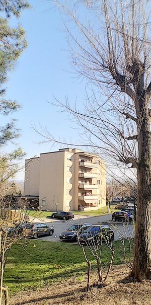 Studio à louer quartier du Jura - Photo 2