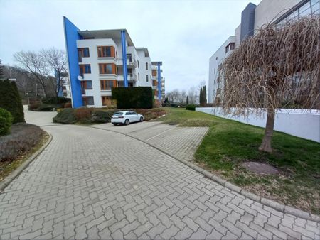 Kiadó felújított lakás - Budapest II. kerület - Photo 3