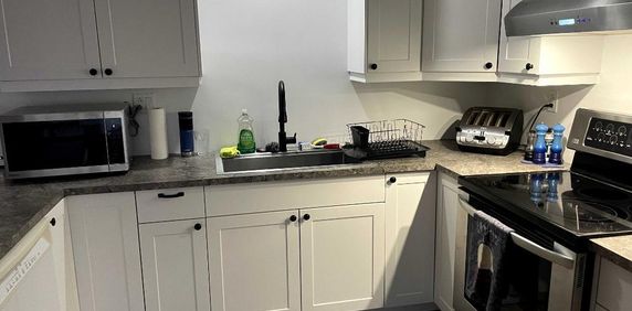 3 1-2 à louer Saint-Hippolyte - Photo 2