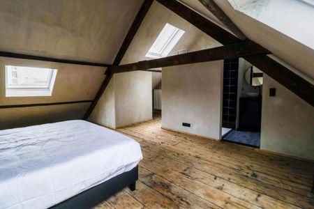 2 SLK-duplexappartement met uitzicht op de Antwerpse Zoo! - Photo 4