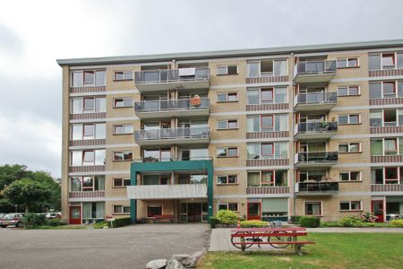 Arnhemse Bovenweg 6A59, 3708AC Zeist - Photo 5