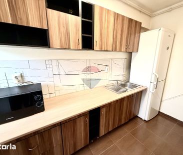 Apartament cu o cameră de închiriat pe Strada Plopilor. Pet Friendly - Photo 2