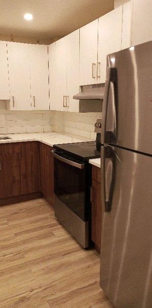 very nice and big 3.5 apartment for rent-APPLIANCES INCLUDED - Photo 1