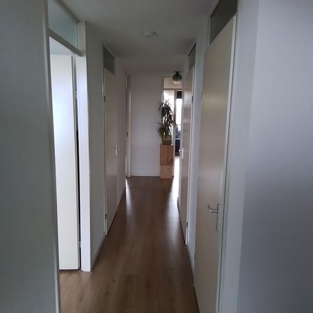 Anfieldroad 98, Park de Meer, 1098WC, Amsterdam - Photo 2