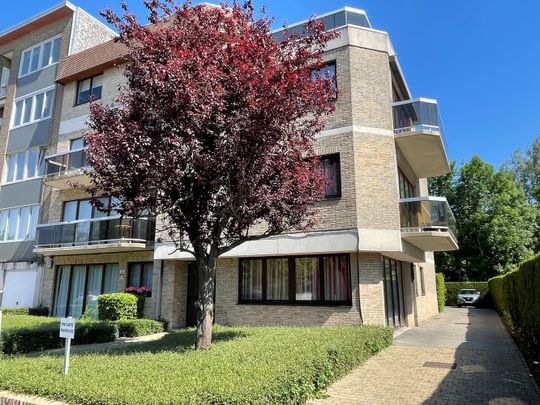 Gelijkvloers appartement met ruim terras in een klein gebouw - Foto 1