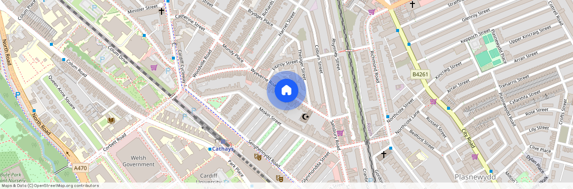 Wyeverne road, CF24 4BG, Cathays