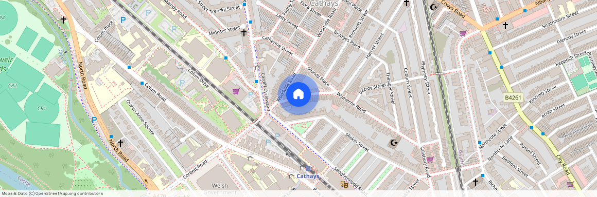 Wyeverne Road, CF24 4BJ, Cathays